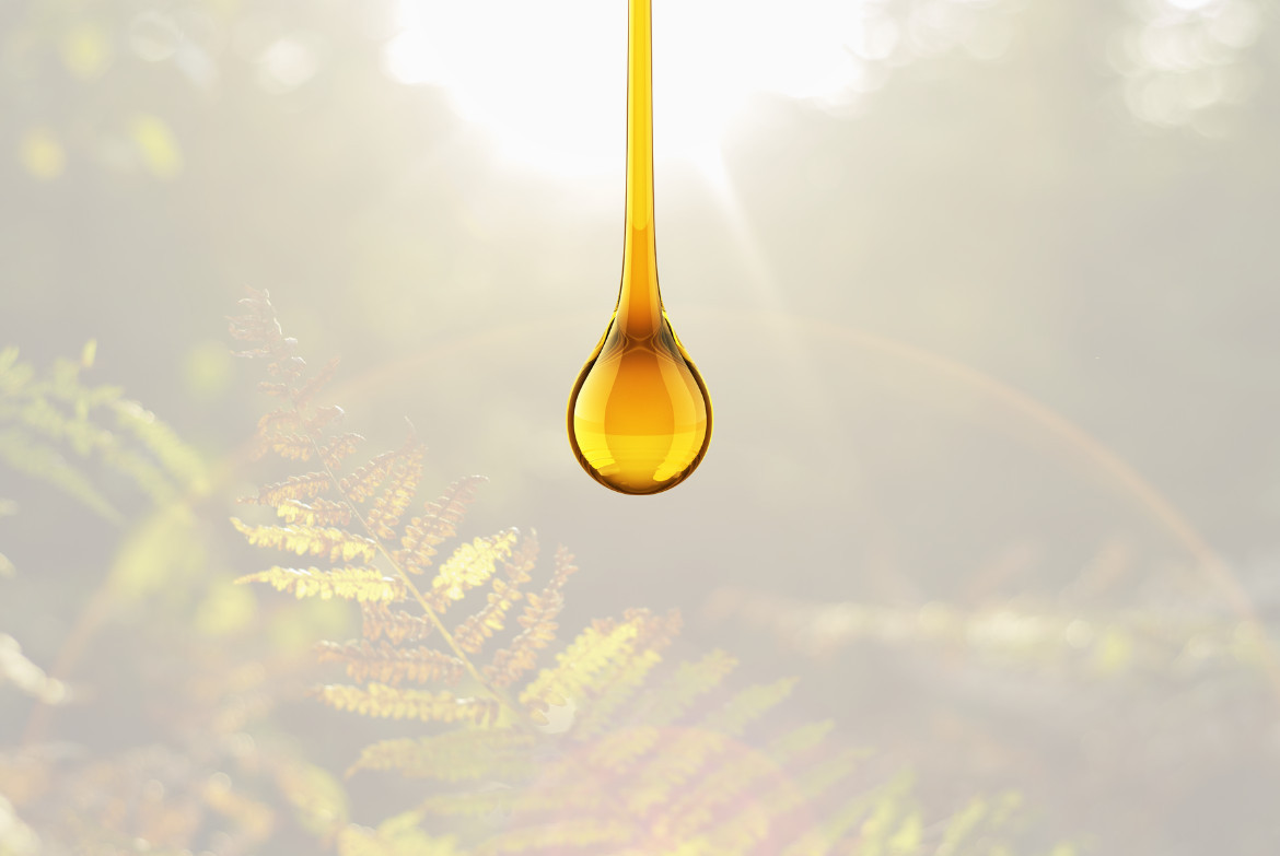 Les avantages des huiles moteur biodégradables